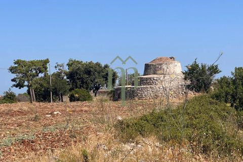 Ruinere i Carovigno, Brindisi, Carovigno - € 385.000 | Ref: Proprietà Pinea - foto 34